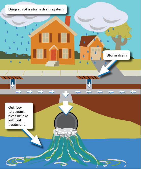 Stormwater definition graphic and diagram from the Neponset River Watershed Association to show the flow of water through drain systems.