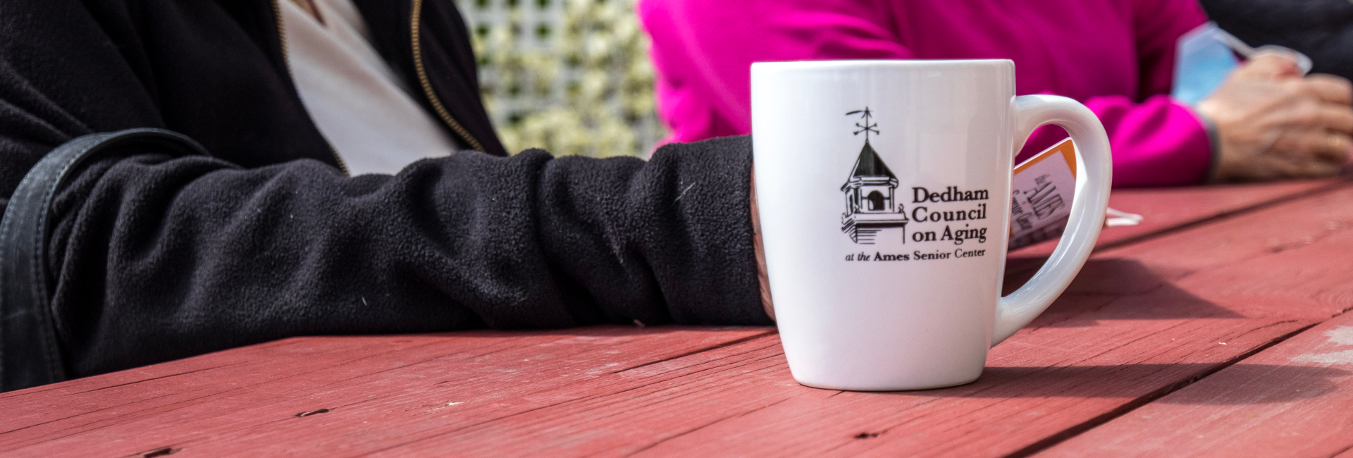 COA Mug on picnic table